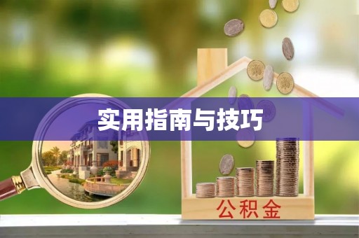 稷山实用指南与技巧